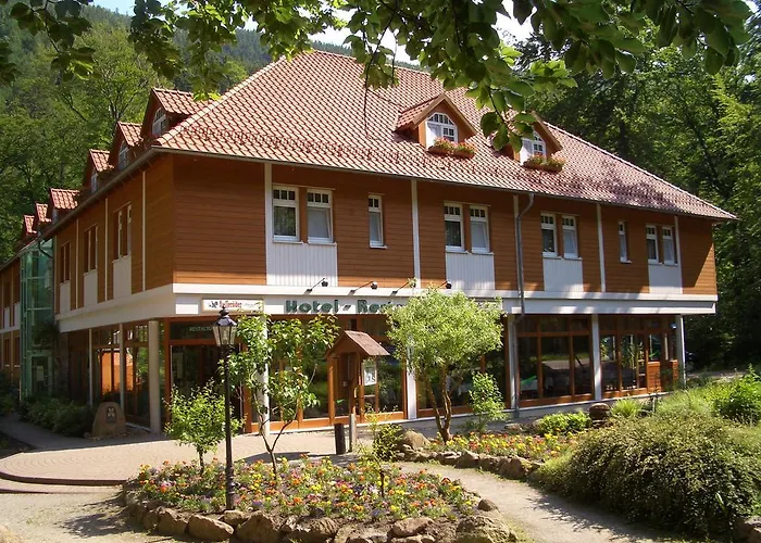 Kurpark Hotel Im Ilsetal