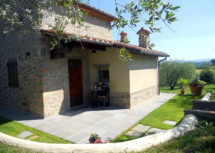 Selva Degli Ulivi