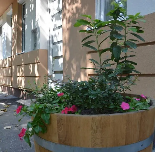 Bodza Apartmanok