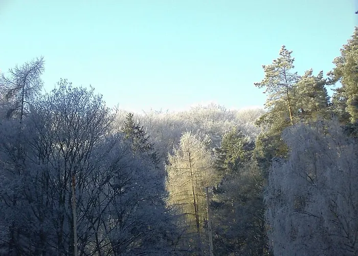 Waldgaststaette Sennhuette