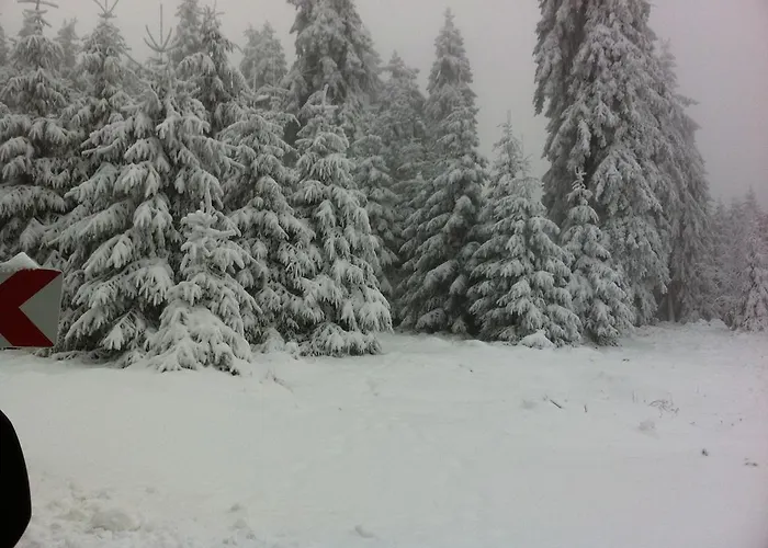 Land-Hotel Am Wald Garni
