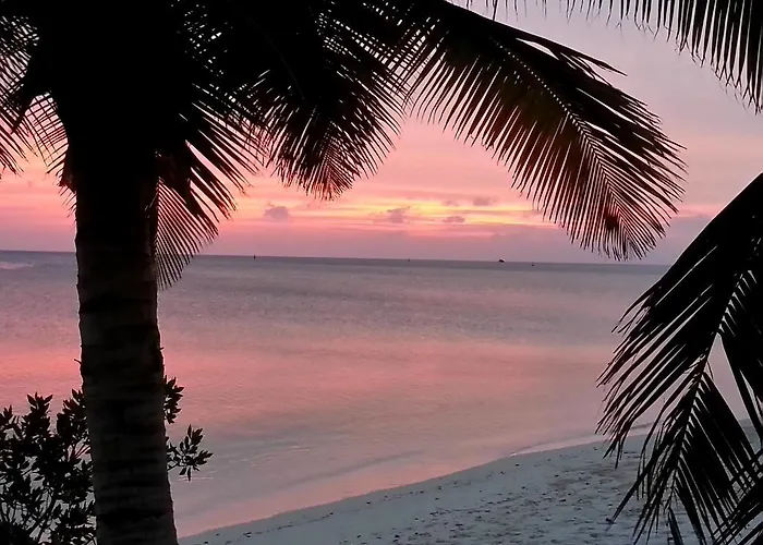 Aruba Surfside Marina
