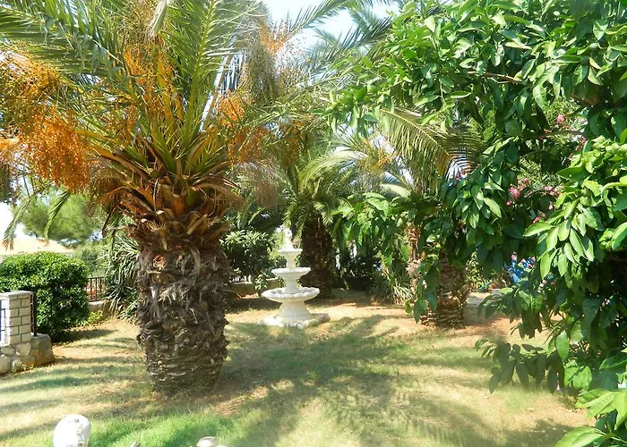 Apartments Vila Palma