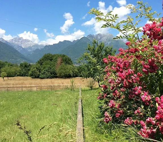 Il Mondo Roverso