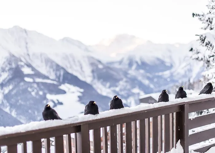 Harmony Eg Sued-Ost