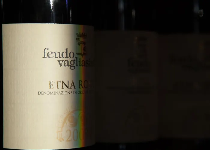 Feudo Vagliasindi -Wine Experience-