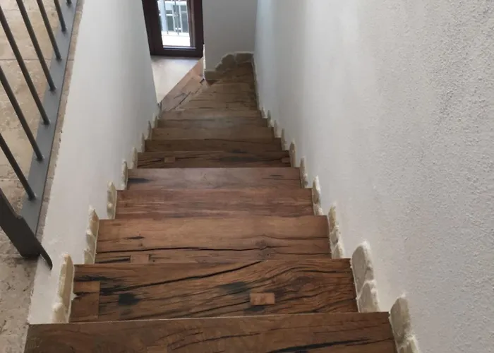 La Casa Del Geko