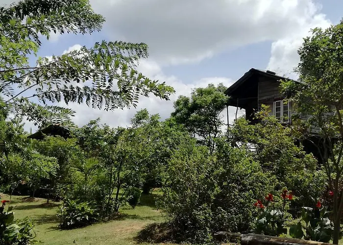 Sigiri Forest View