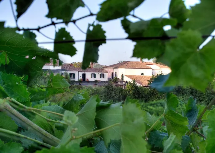 Casa Vacanze Etna