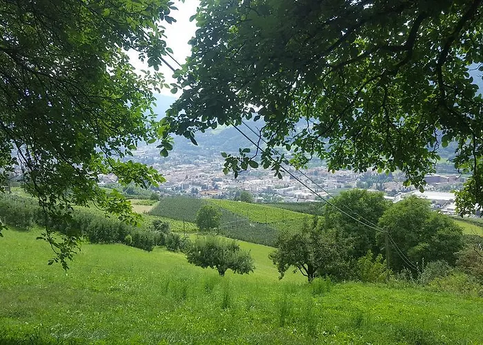 Kienasthof