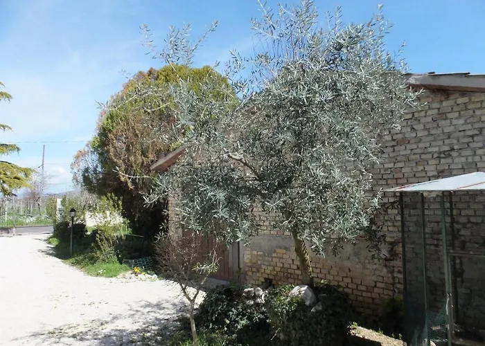 Cascina Antonini