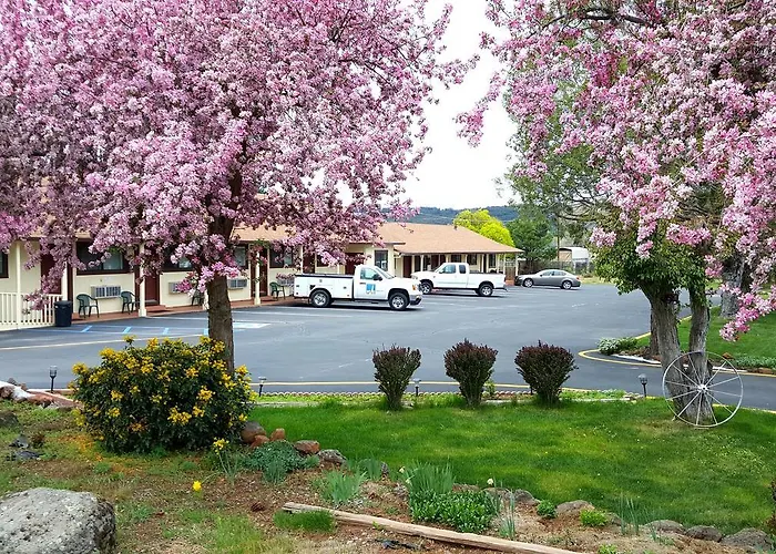 The Burney Motel