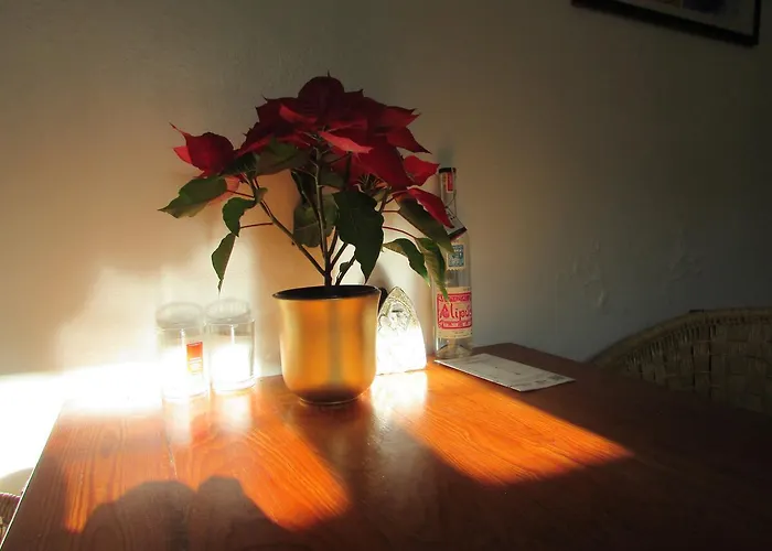 Casa Mixteca Santo Domingo Oaxaca