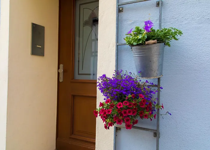 Hotel Blaue Blume