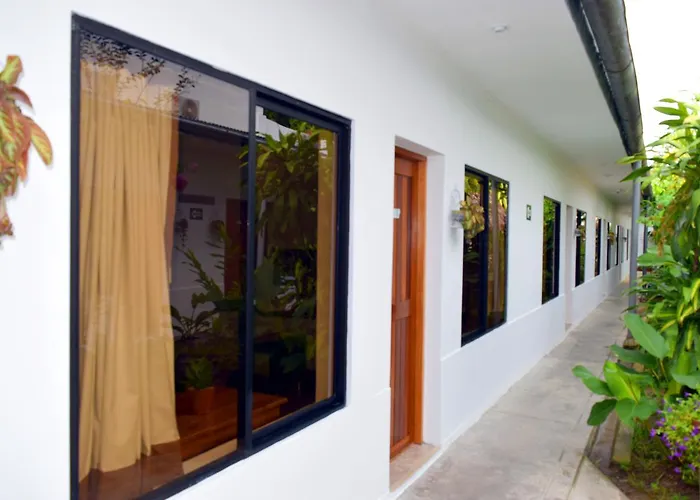 Hotel Jungle House