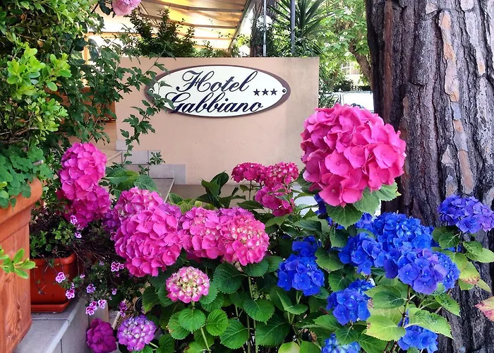 Hotel Gabbiano