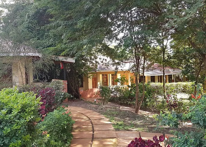 Eileen'S Trees Inn