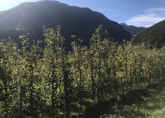 Gasserhof Aicha