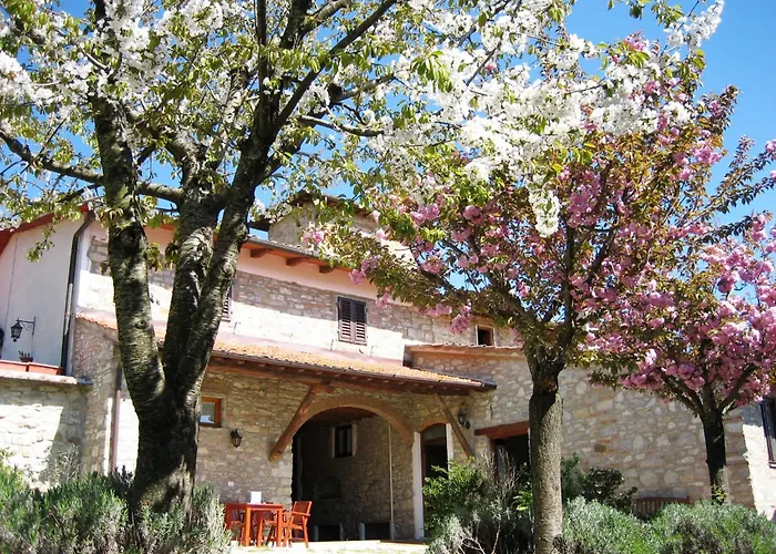 Podere Vignola