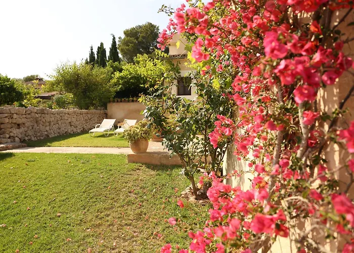 Oliver Moragues Grandhouse & Vineyard