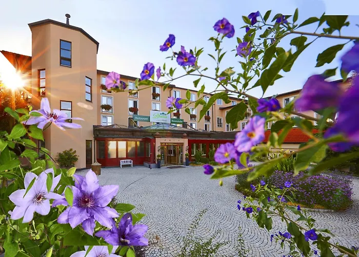 Dehner Blumen Hotel