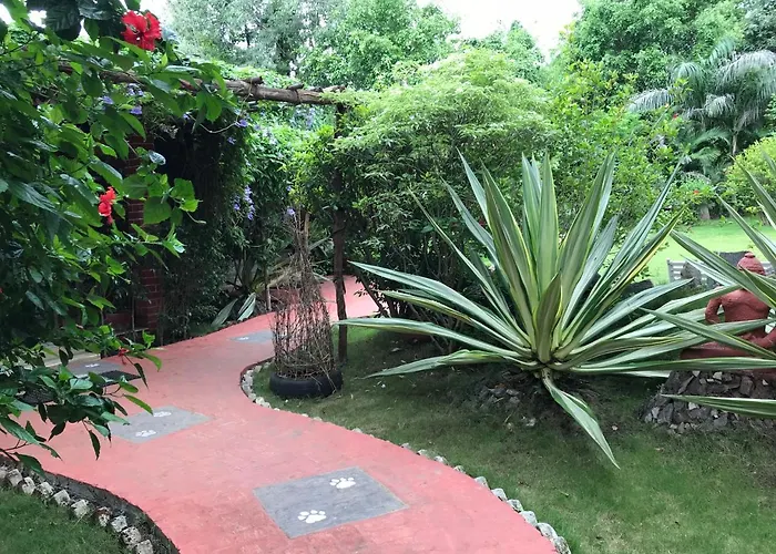Baaz Jungle Resort