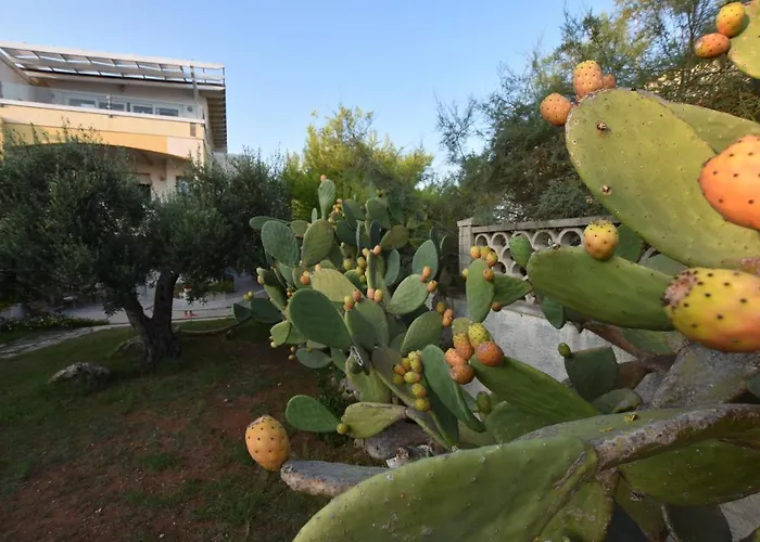 Mansarda Sul Mare