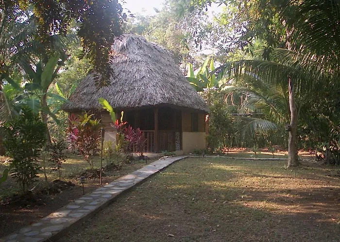 Cohune Palms River Cabanas