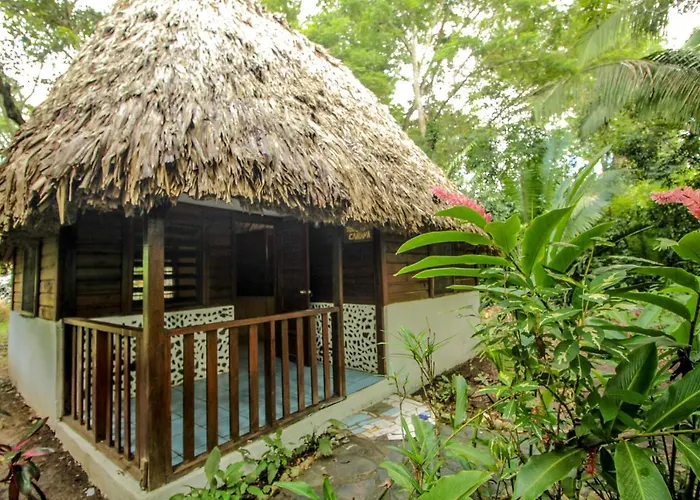 Cohune Palms River Cabanas