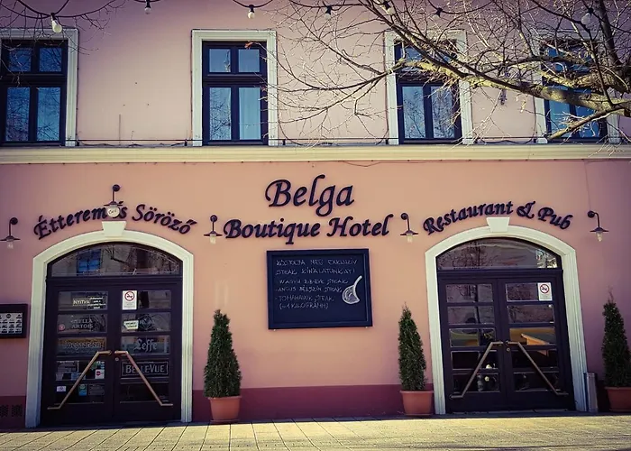 Belga Boutique Panzio