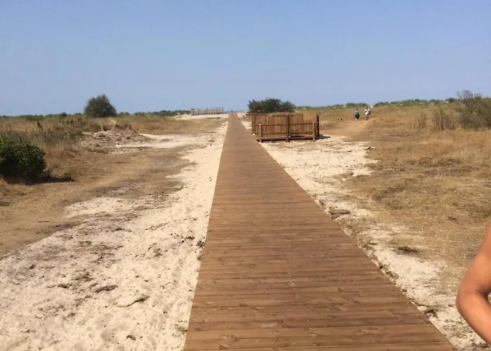 Strandgut