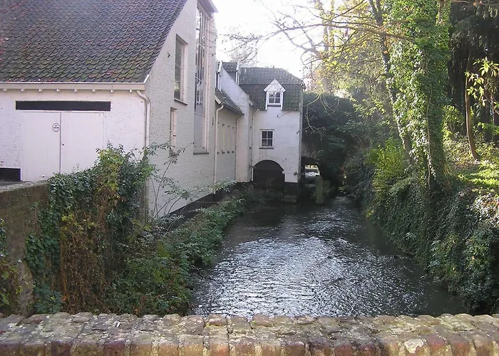 Logis Pastis