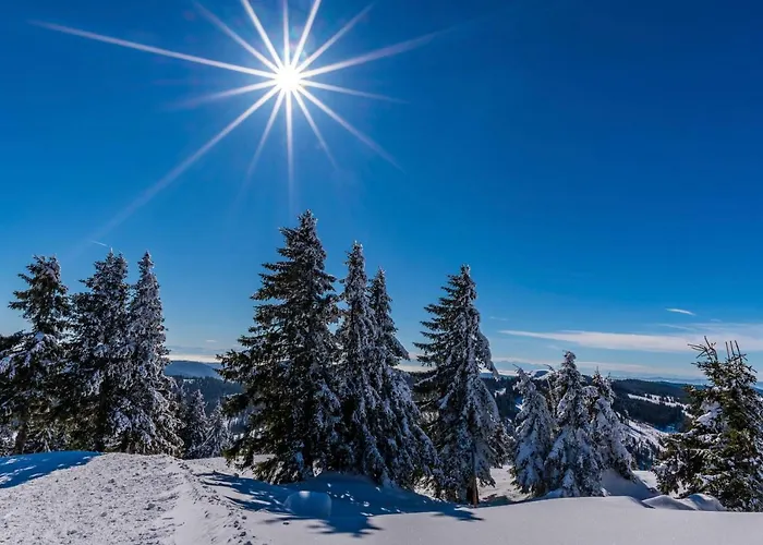 Bergzauber Schwarzwald-Appartements Eiche