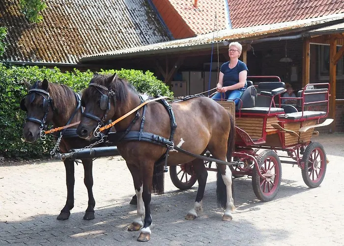 Ferienhof Scholbe