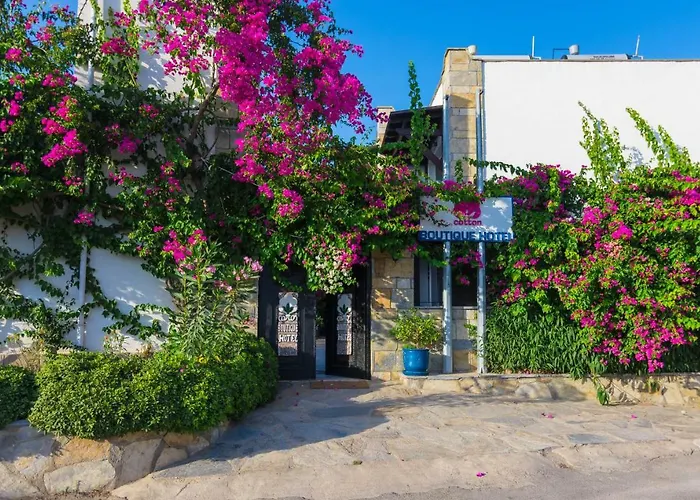 Cotton Boutique Hotel