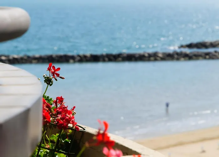 Residence Belvedere Vista - Seafront Rimini