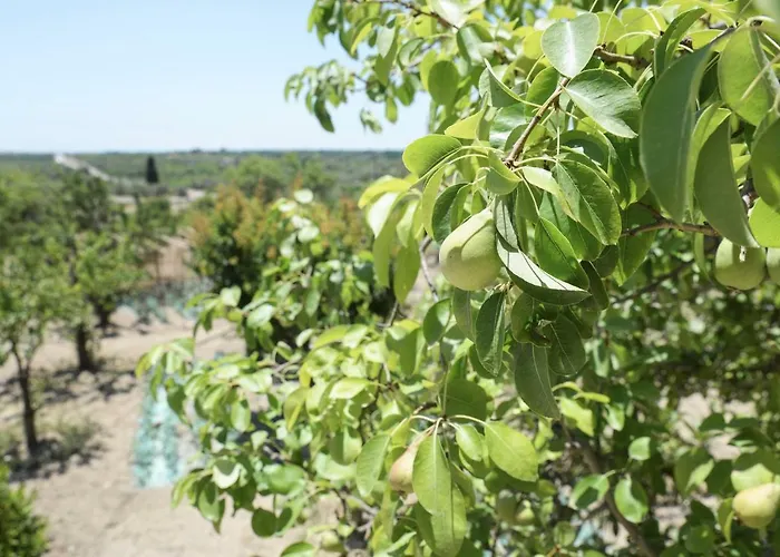 Jardinu