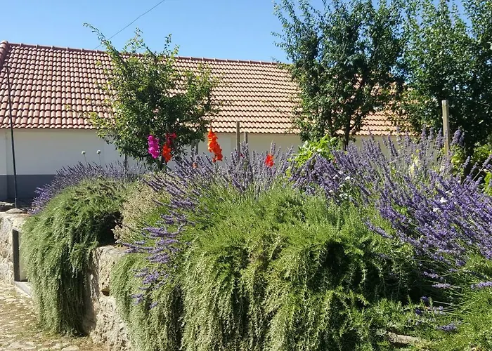 Quinta Do Acipreste