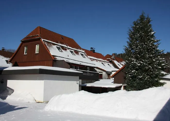 Harz-Sonne