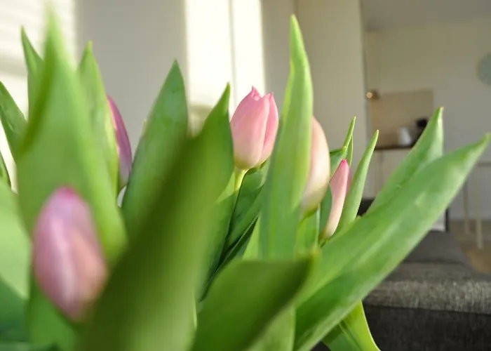 Appartement Eigen Tijd