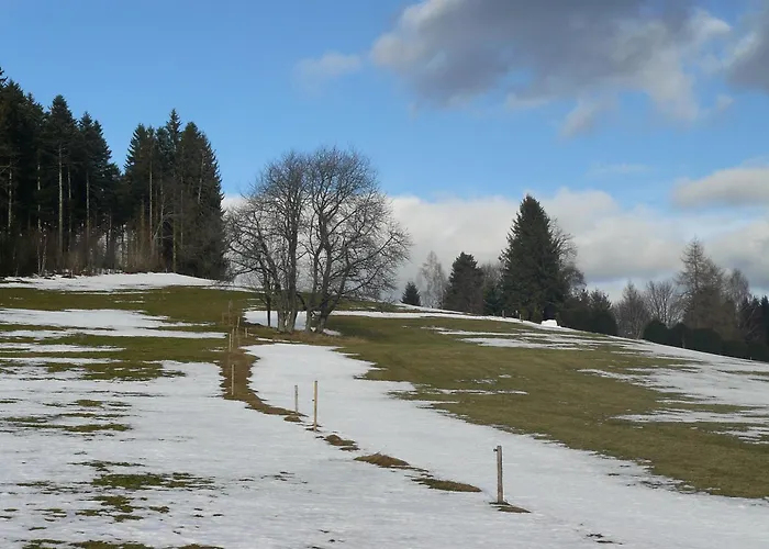 4-Sterne Ferienhaus Roesslewiese Hinterzarten