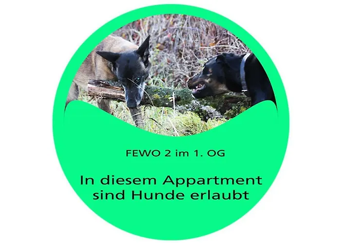 Stollis Fewo