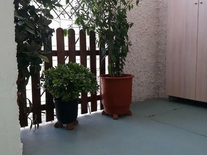 Brigitte House
