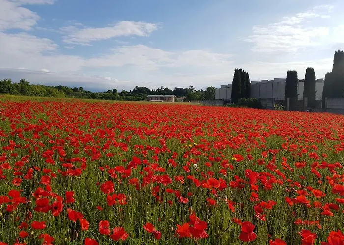 Lago Di Garda
