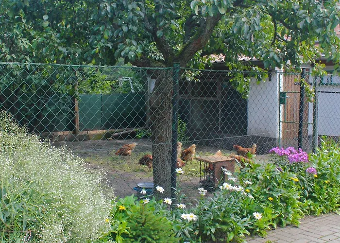 An Der Hainmuehle