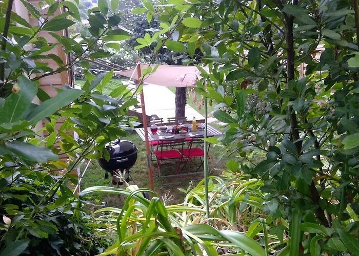 La Moma