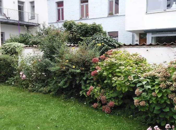 Altstadt Bonn Mit Eigenem Parkplatz Und Garten