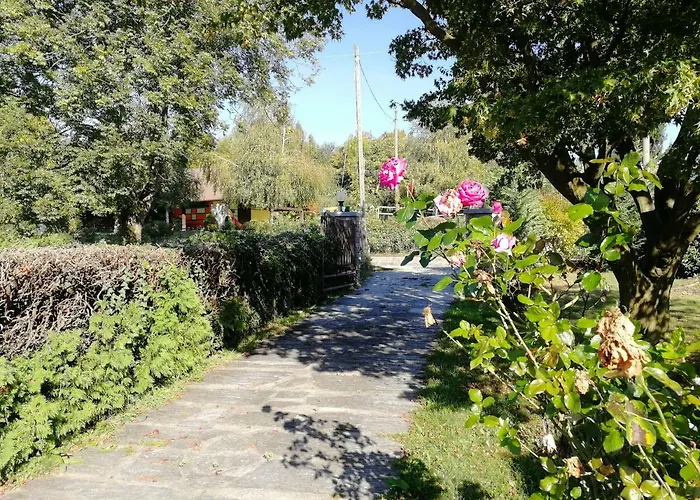 I Tulipani