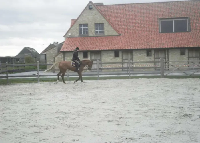 House Zoute Stables 125Sqm In 5 Ha Property Near Seaside In Knokke