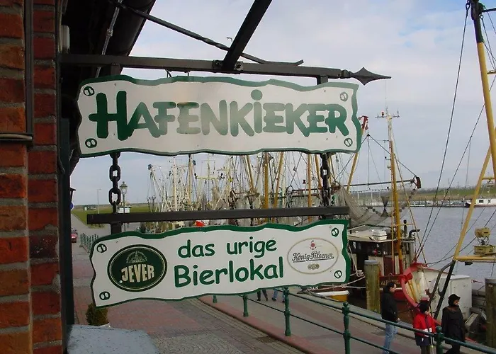 Seestern 4
